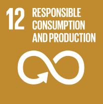 SDG Wheel